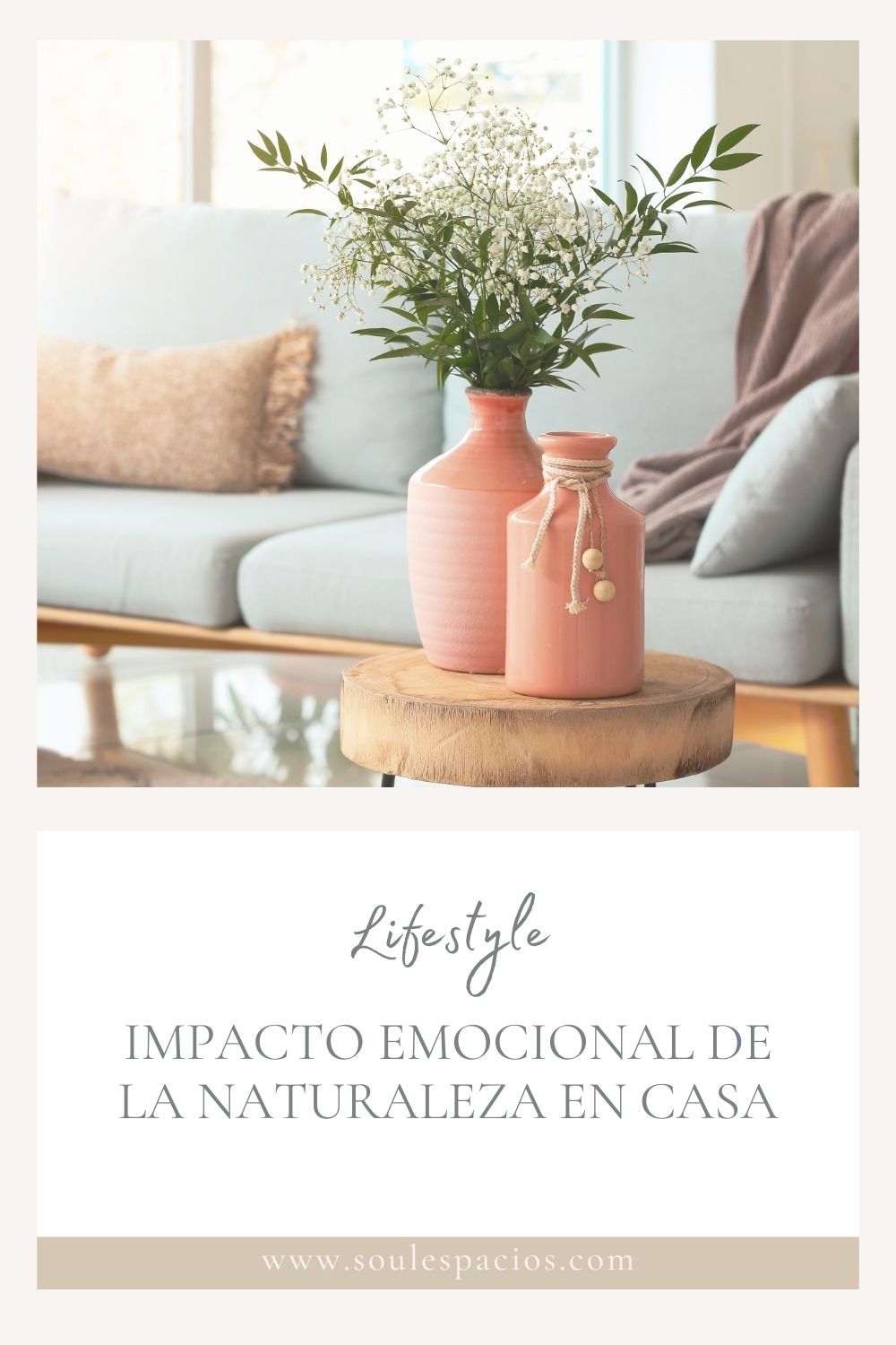 Imagen de portada Pinterest Biblioteca