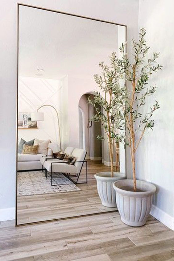 Maceta en esquina de salón con árbol de olivo espigado