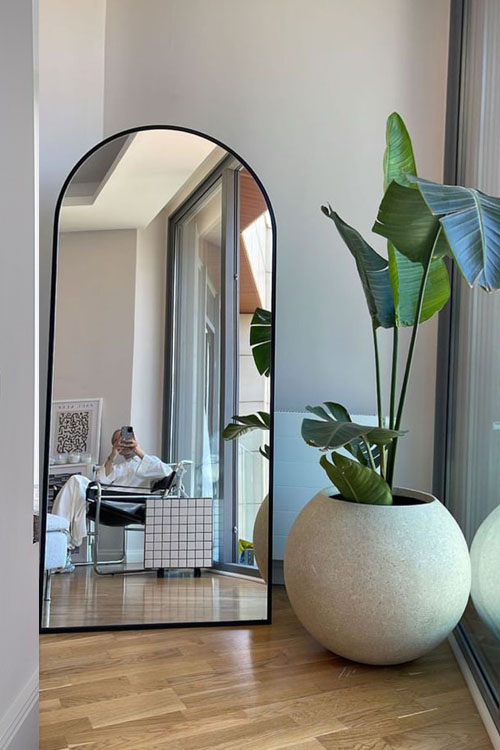 esquinazo de un dormitorio con planta XL y espejo