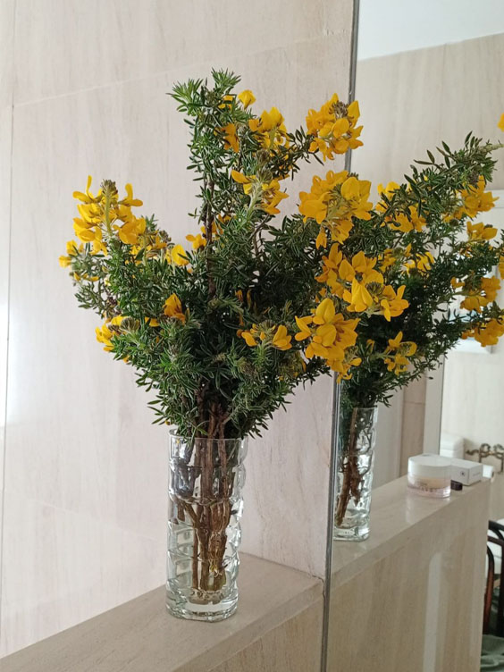 jarrón en baño con flores silvestres amarillas y verdes