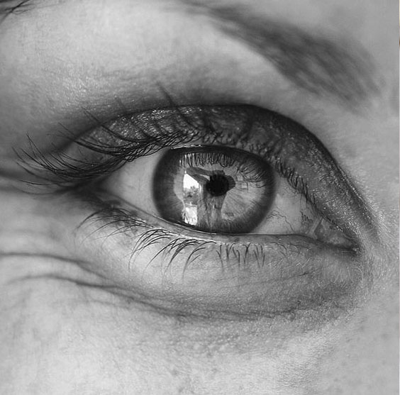 imagen de un ojo en blanco y negro