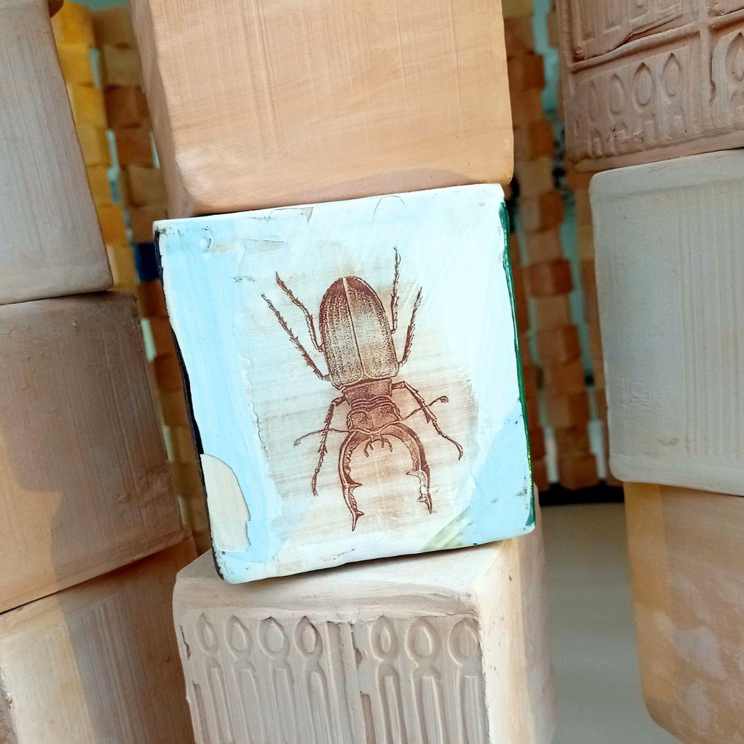 Claves tendencias interiorismo estilos